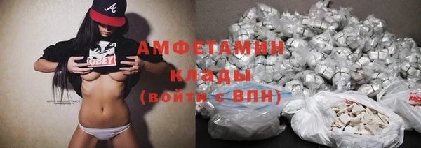 прущие грибы Данков