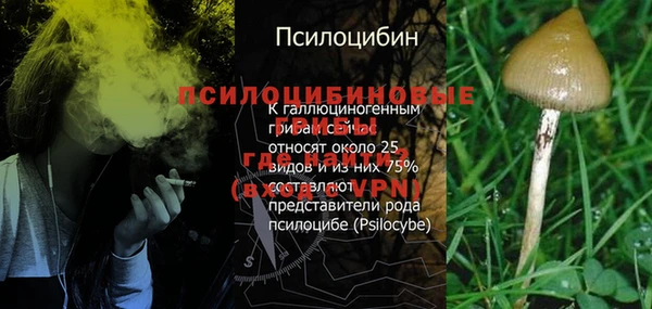 каннабис Алексин