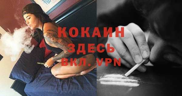 прущий лед Алзамай